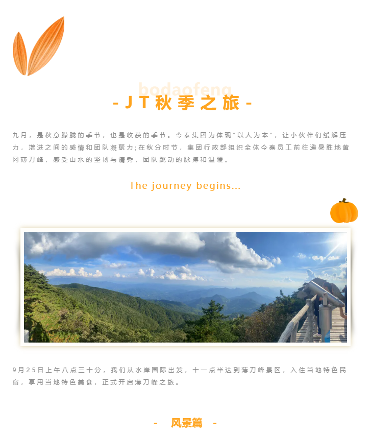 秋天了，來一場成年人的秋游吧(圖1)