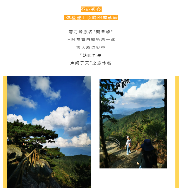 秋天了，來一場成年人的秋游吧(圖2)