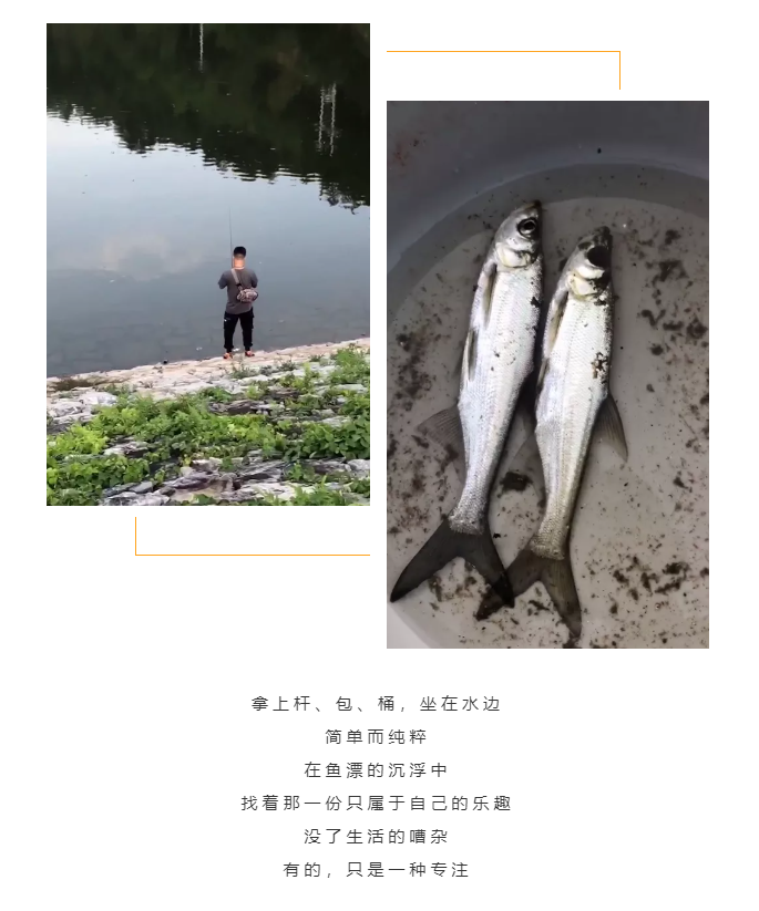 秋天了，來一場成年人的秋游吧(圖5)