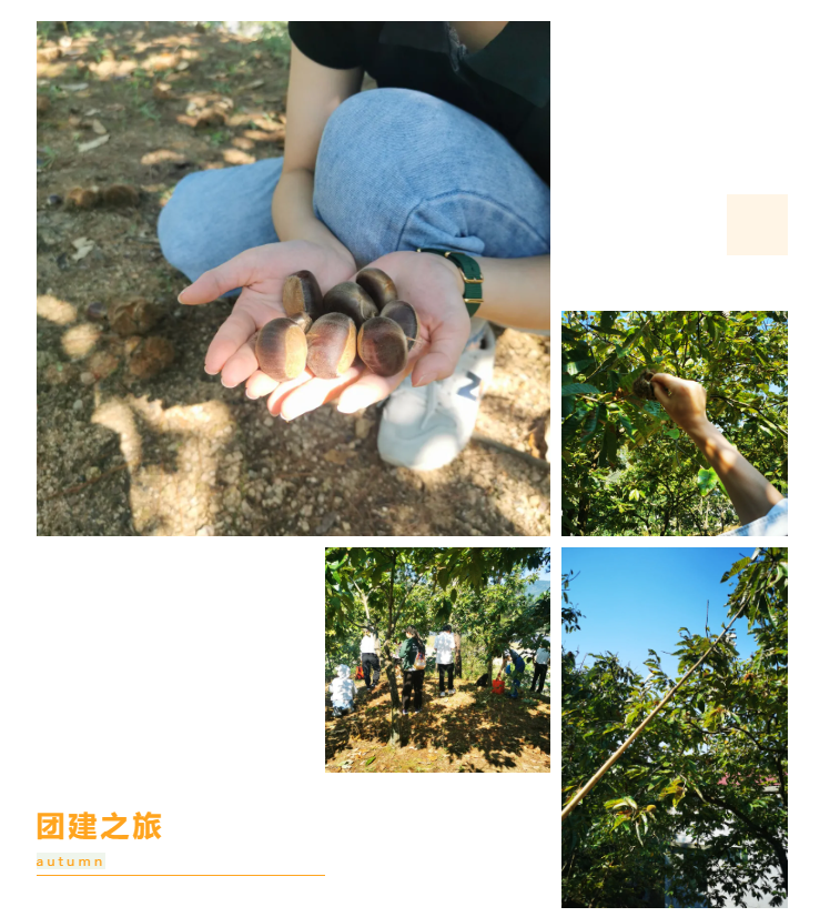 秋天了，來一場成年人的秋游吧(圖6)